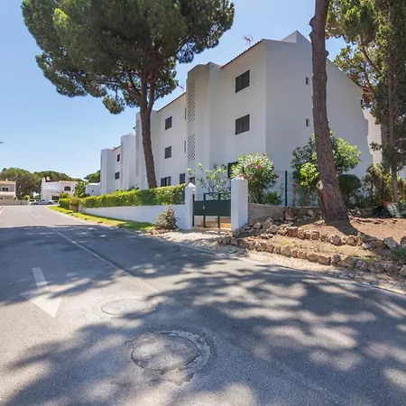 - Magnolia 512 - T1 *