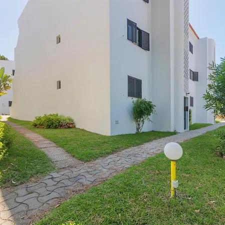 - Magnolia 512 - T1 *