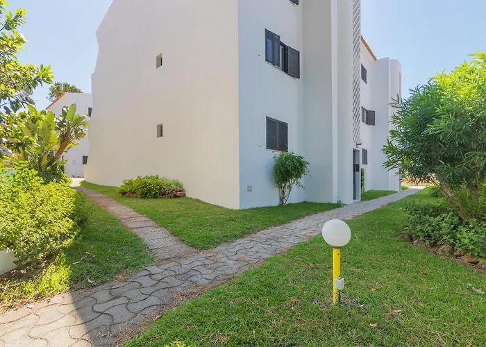 - Magnolia 512 - T1 *