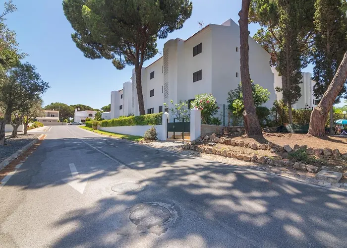 - Magnolia 512 - T1 *